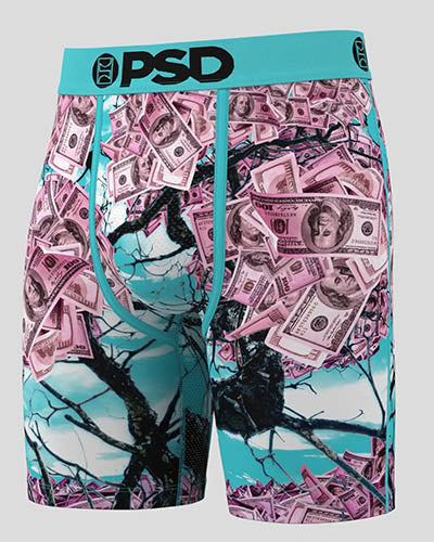 MONEY BLOSSOM